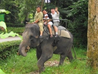 Сингапур - Поездка на слонах