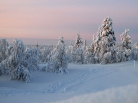 Финляндия - Снежная сказка