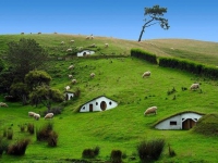 Новая Зеландия - Хоббитон