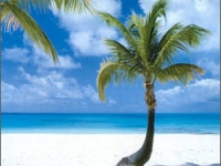 Барбадос - пляжи