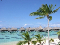 Hilton  Moorea Lagoon Resort   Spa (ex.Sheraton) - 