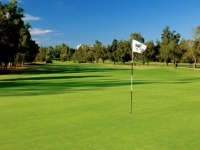 Le Meridien Penina Golf   Resort - -