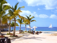 Viva Wyndham Dominicus Beach - 