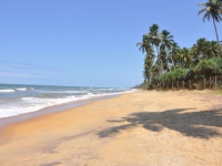 Haridra Resorts And Spa - 