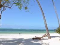 Indigo Beach Zanzibar - 