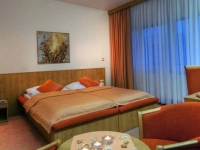 Hotel AquaCity Mountain View Poprad - 