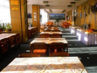 Hotel Sasanka - 