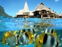 Bora Bora Lagoon Resort   SPA - 