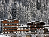 Hotel des Alpes - 