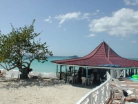 Negril Tree House - 