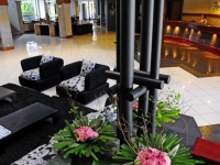 Radisson Europa - 