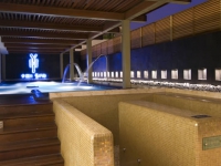 Paradisus Canc #250;n -  