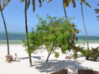 Indigo Beach Zanzibar - 