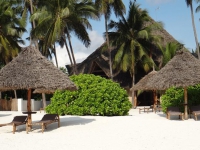 Pongwe Bay Resort - 