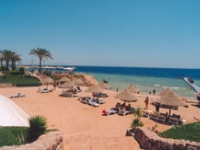 Creative Grand Sharm -  