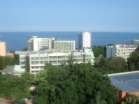 Perunika -  