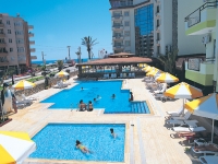 Platan Alpina - 