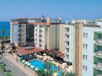 Platan Alpina - 