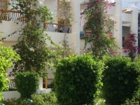 Menaville Safaga - 