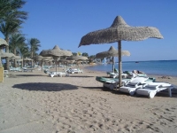 Palm Royale Soma Bay - 