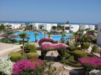 Sharm Reef - 