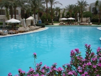 Luna Sharm - 