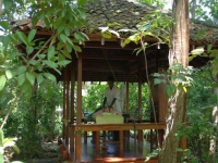 Tropical Villas - 2