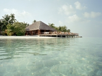 Kurumba Village -   