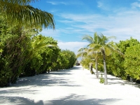 Sheraton Maldives Full Moon - 