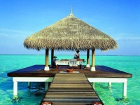 Taj Exotica Resort   Spa - -