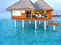 Taj Exotica Resort   Spa -   