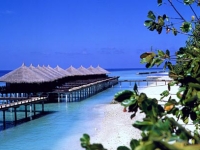 Kuramathi Cottage Club - ����� �����