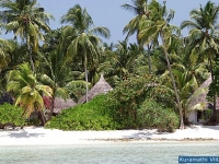 Kuramathi Blue Lagoon - ����� �����