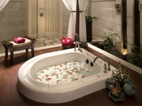 Spa Double Suite