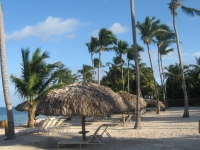 Catalonia Bavaro Resort - 