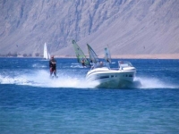 Hilton Dahab -  