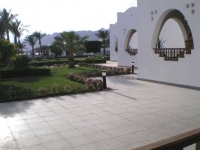 Hilton Dahab -  