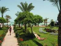 Hilton Hurghada Resort -  