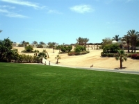 The Oberoi Sahl Hasheesh -  