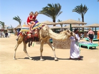 Club Calimera Hurghada - Calimera Golden Beach