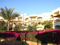 Royal Grand Sharm - Royal Grand Sharm