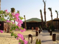 Abou Dabbab Diving Lodge - Abou Dabbab Diving Lodge