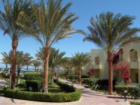 Palm Beach Resort -  