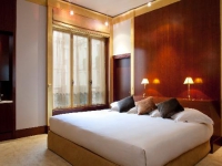 Park Hyatt Vendome Palace - 