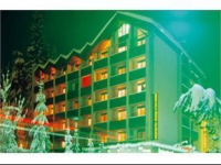 Best Western Hotel Des Alpes Flims -  