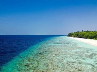 Amilla Fushi Resort Maldives - Amilla Fushi Resort Maldives