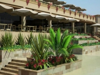 Rixos Seagate Sharm - 