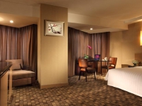 Nikko New Century -  