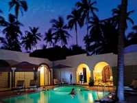 Dream Of Zanzibar - 
