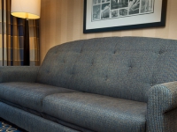 Disneyland Hotel - 
